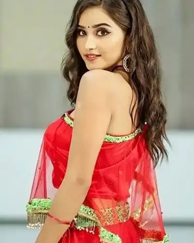 Call Girls Service Shaikpet